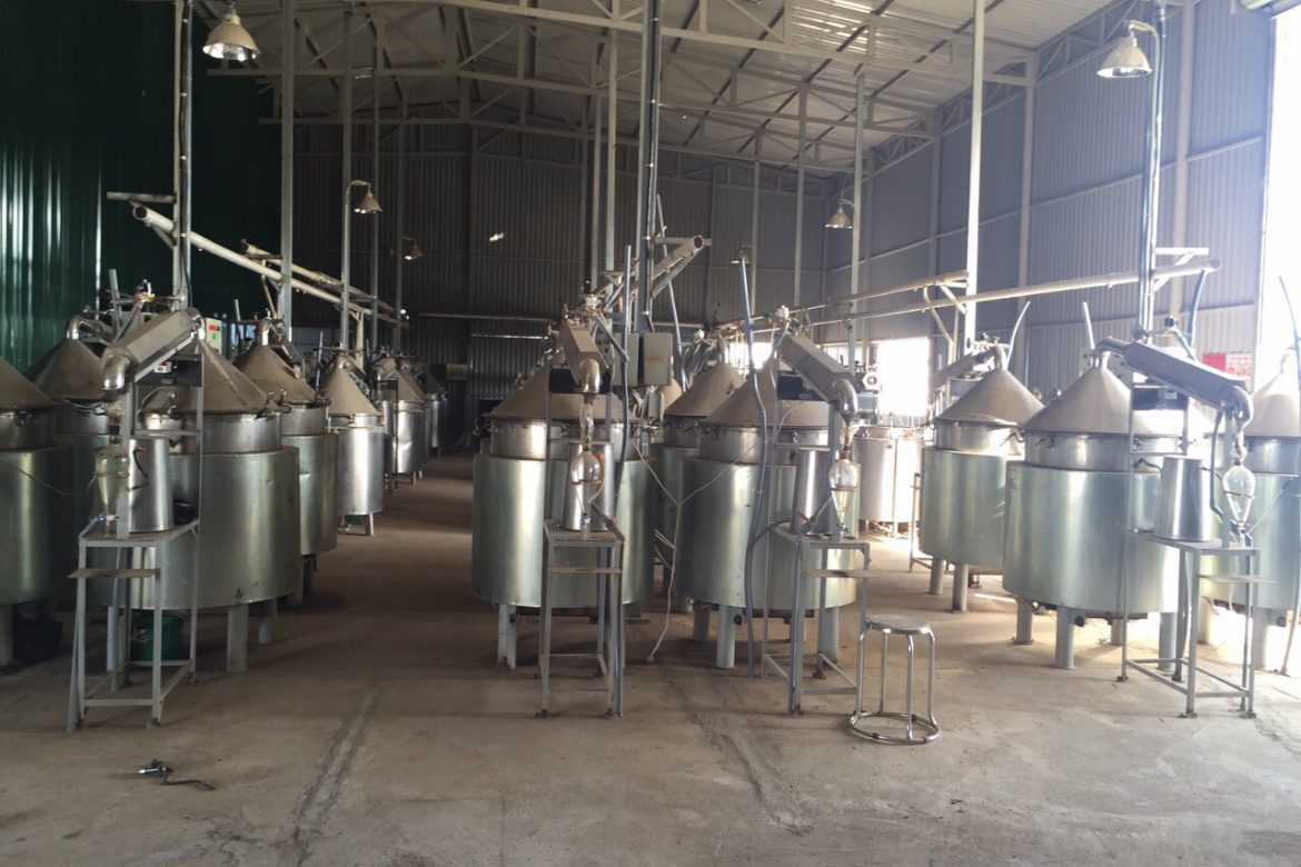 DISTILLATION OF ESSENTIAL OIL