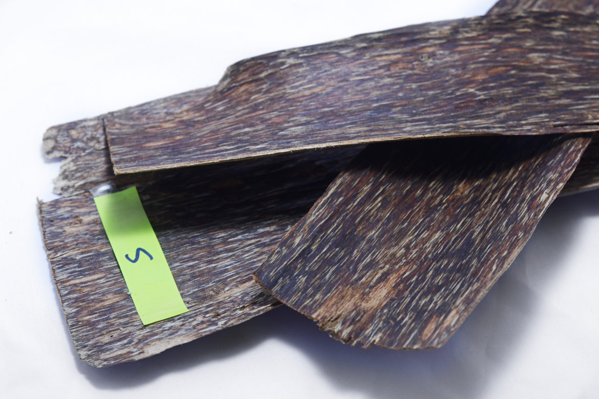 Biological Characteristics Of Aquilaria Crassna Pierre (Part 4)