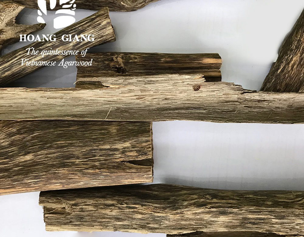 Biological Characteristics Of Aquilaria Crassna Pierre (Part 5)