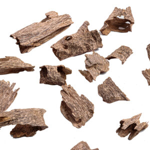 HAGA Super Oud Chunk third grade