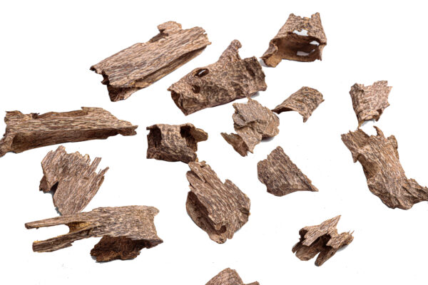 HAGA Super Oud Chunk third grade