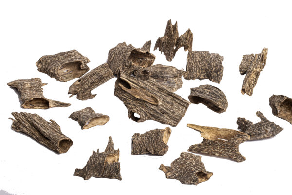 HAGA Super Oud Chunk