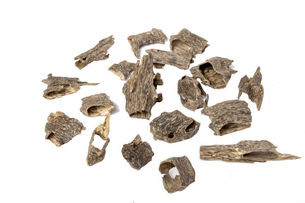 HAGA Super Oud Chunk second grade