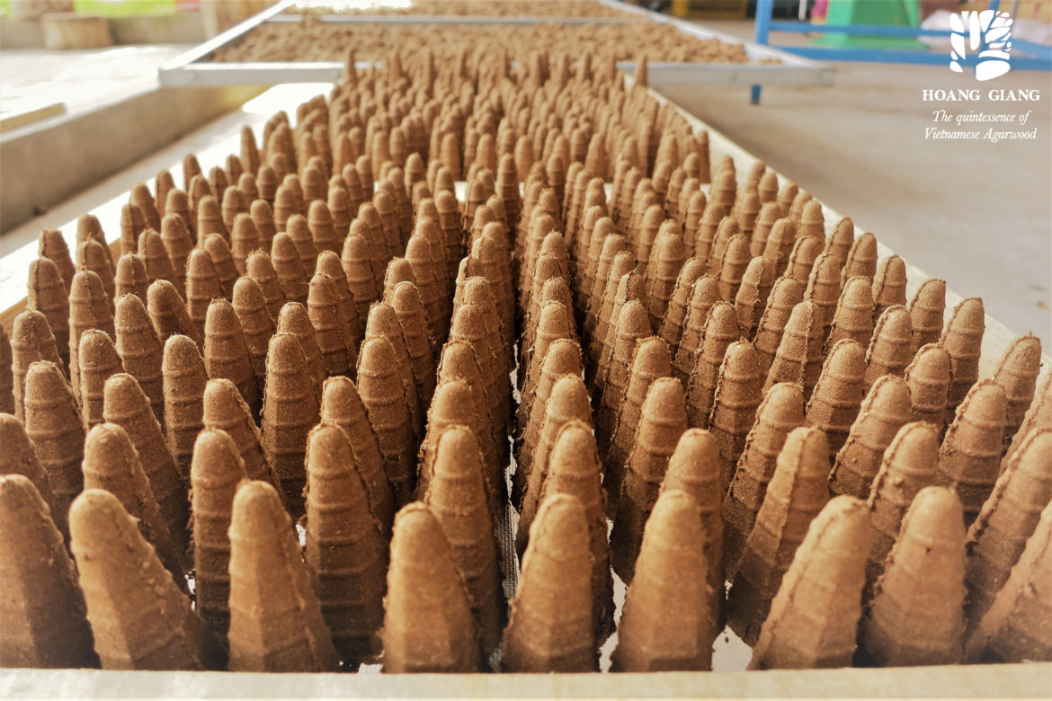Agarwood incense cone production process at Hoang Giang Agarwood