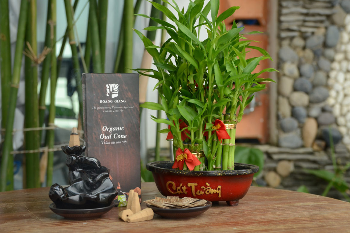 Agarwood – Health Care Gift From The Nature