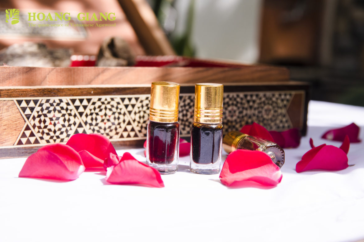 [Infographic] Stories Of The Agarwood: The Untold Mystery (Part 2)