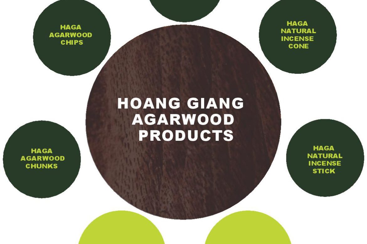 07 Hoang Giang Agarwood product’s groups: Short Introduction
