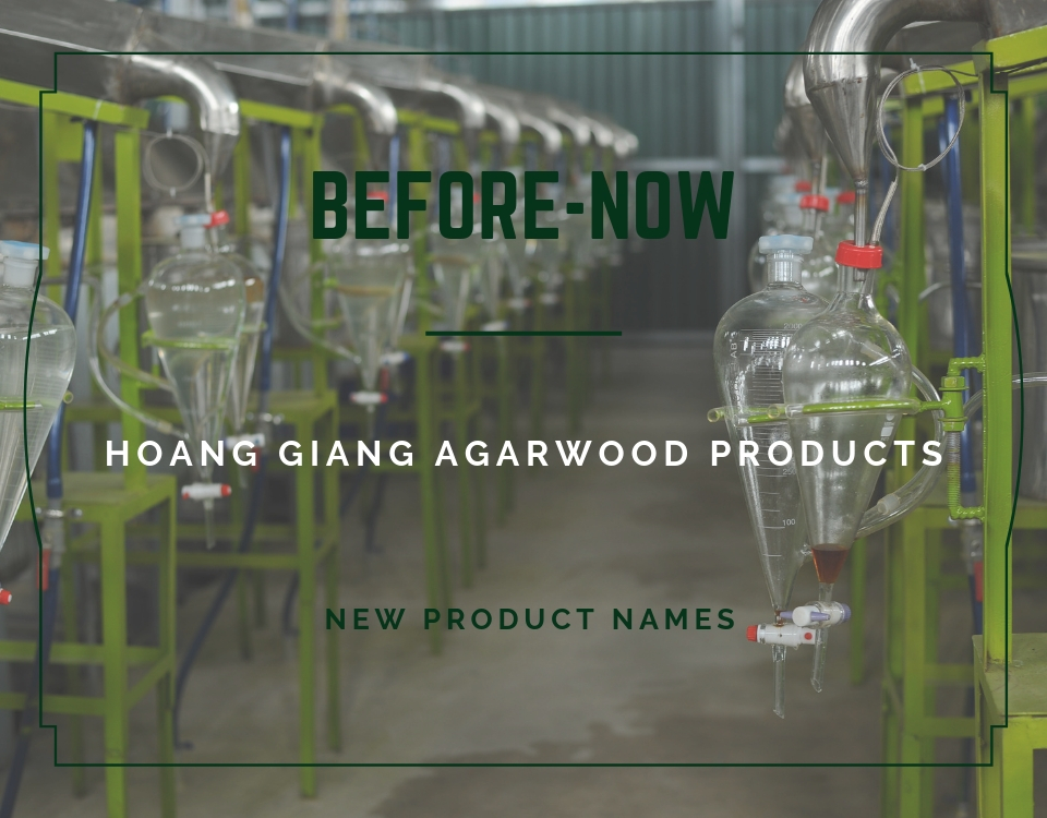 [Infographic] Hoang Giang Agarwood’s Product Names: Before & Now