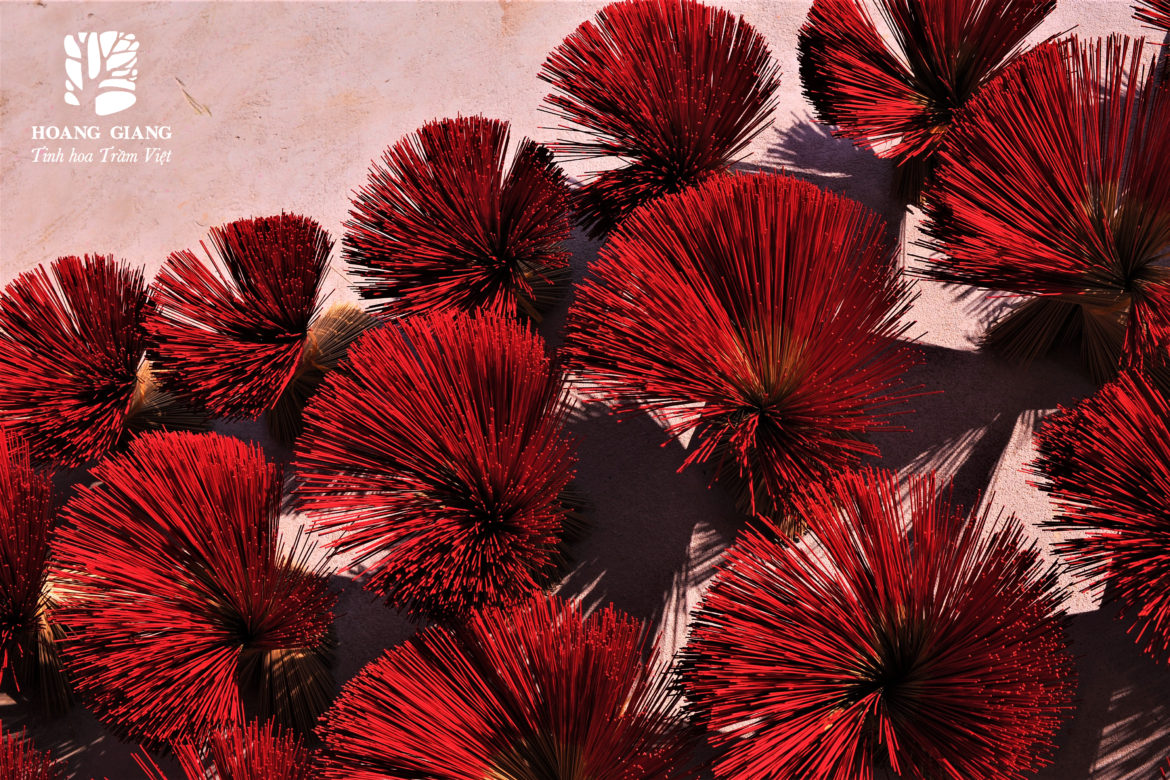 [Infographic] 05 steps in HAGA Natural Agarwood Incense Stick production process of Hoang Giang