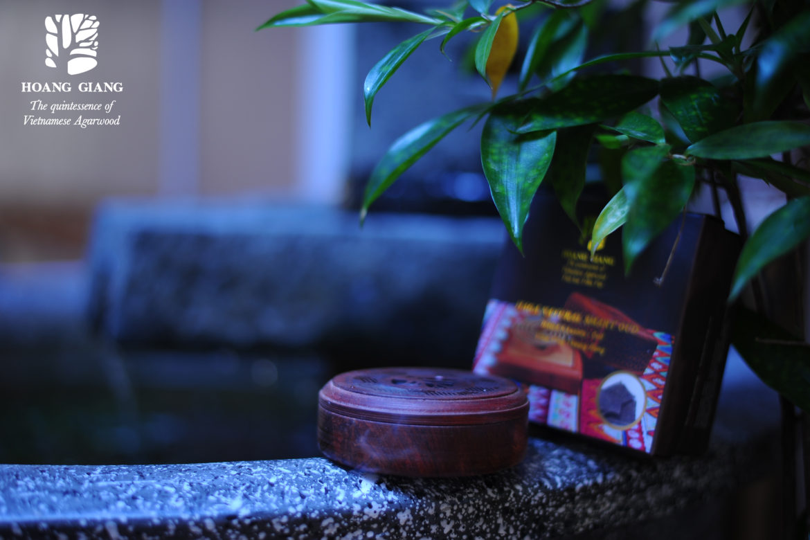 [A story of images] Aromatic surreal clouds of smoke from Agarwood coil for an afternoon of enjoyment