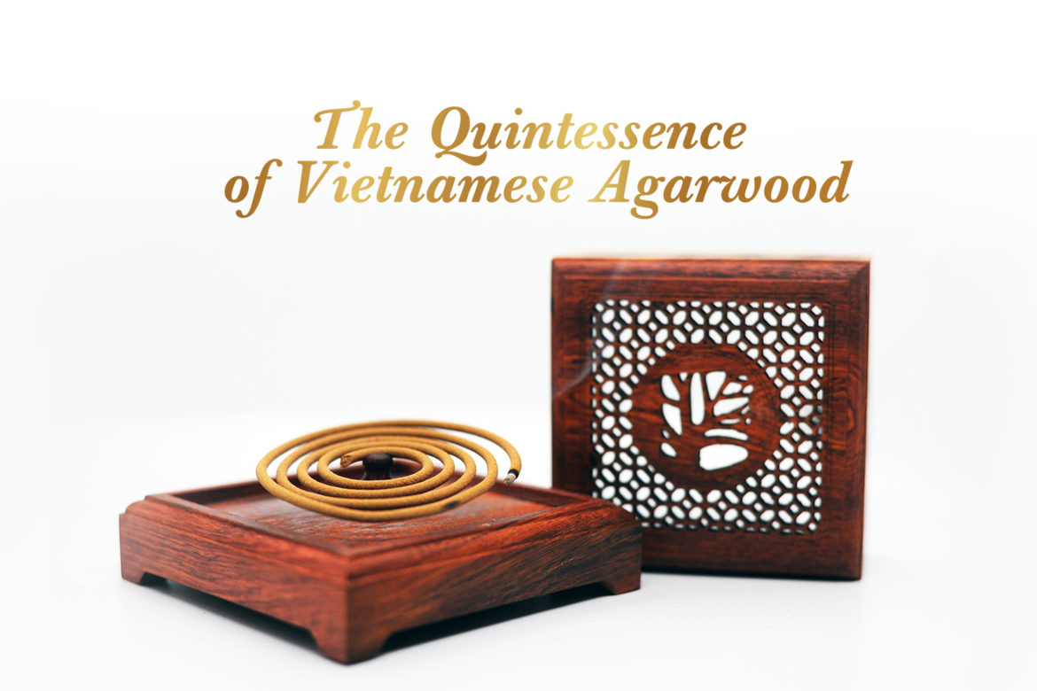 HAGA Smartoud Coil – Agarwood/Oud products from Vietnam’s manufacturer