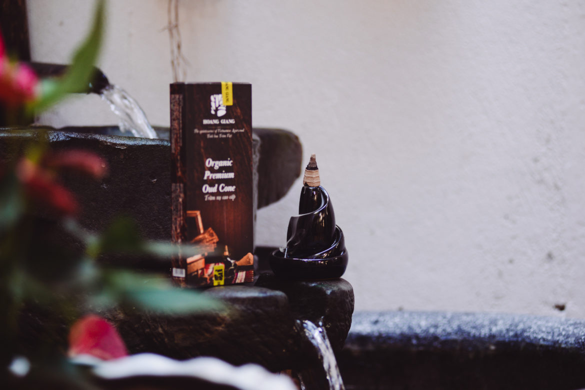 HAGA Natural Cone & Premium Natural Cone: What are the differences in enjoying ways?