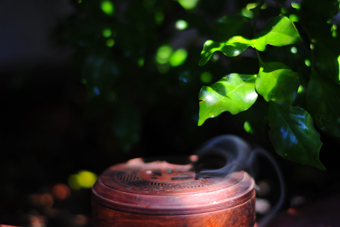 Reconnecting with the nature in slow living, social distance season of COVID-19 pandemic