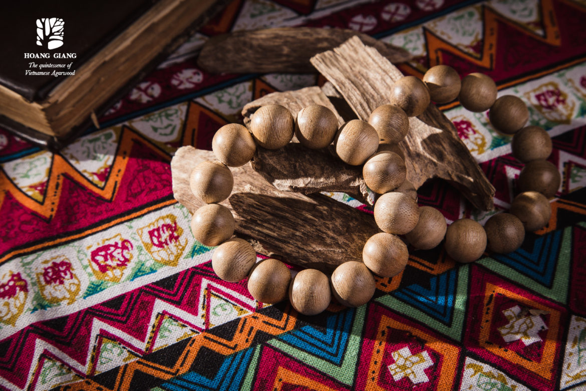 “Pain makes Aquilaria turn into Agarwood” – the ancient legend of the road “backward and toward the jungle” to find Agarwood (Oud) (Part 1)