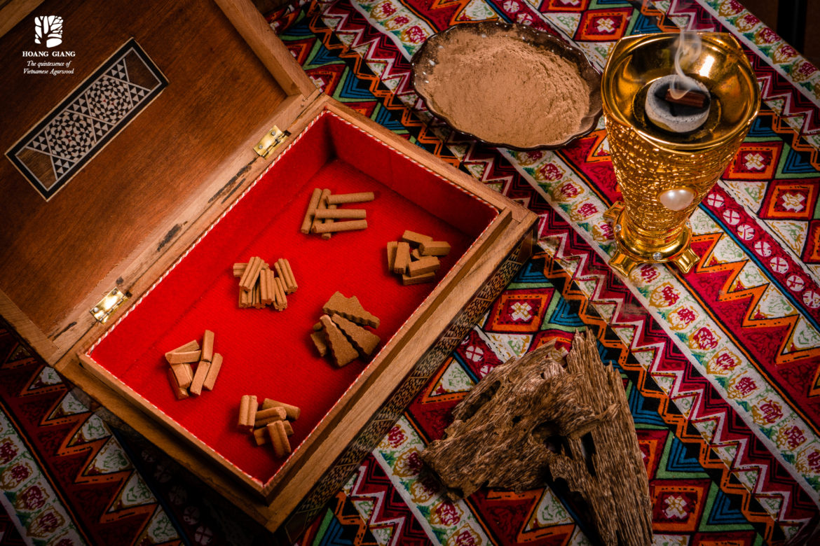 “Pain makes Aquilaria turn into Agarwood” – the ancient legend of the road “backward and toward the jungle” to find Agarwood (Oud) (Part 2)