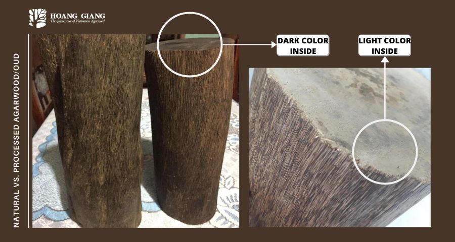 سلسلة نصائح لكم  –  (1) : كيفية تعرف على العود الطبيعي و العود المعالج