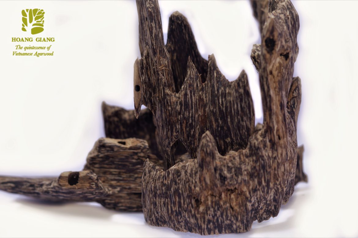 Fragranced compound of resin – Oud (Agarwood) chunk Vietnam from Aquilaria Crassna species