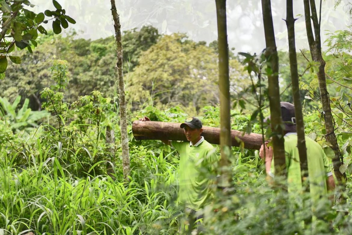 October representing: Smartoud, Oud chunk, Oud oil