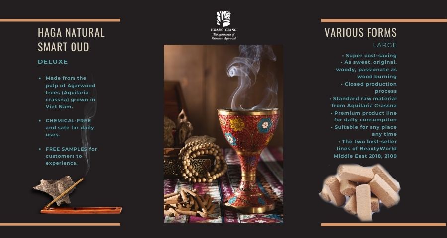 [Infographic] Detail specification of HAGA Smartoud Deluxe