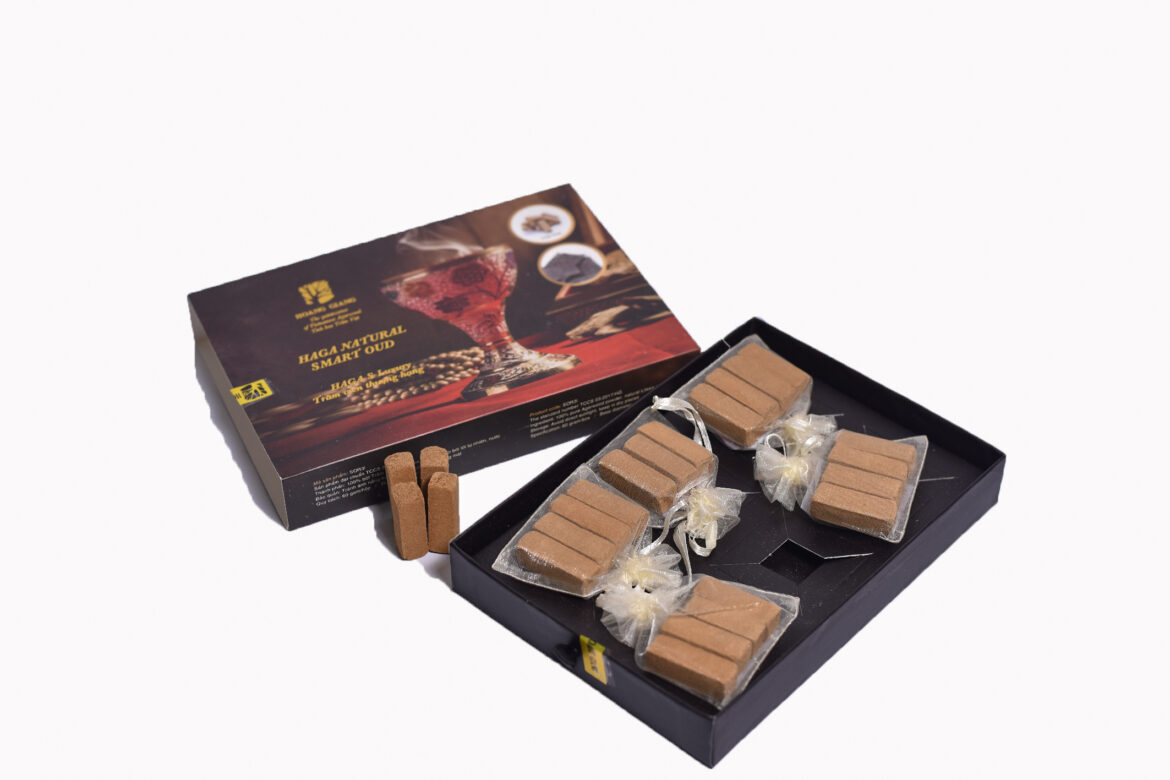 العود الذكي هو مثالي منتج للحياة العصرية من فيتنام