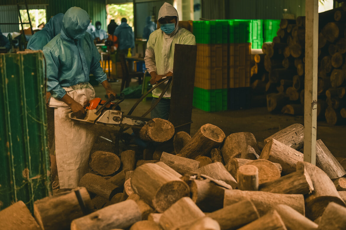 قصة العلامة التجارية لشركة “هوانغ جيانغ أقاروود”: الرحلة لتقديم جوهر العود الفيتنامي للعالم