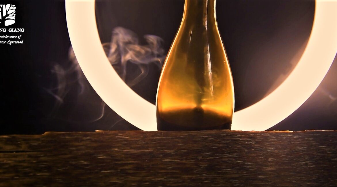 النقية – هاغا دهن العود من شركة مصنع هوانغ جيانغ أقاروود