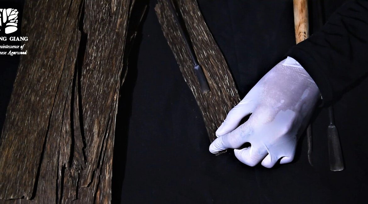 الابتكار – هاغا رقائق العود الدرجة الرفاهية من شركة مصنعة هوانغ جيانغ أقاروود