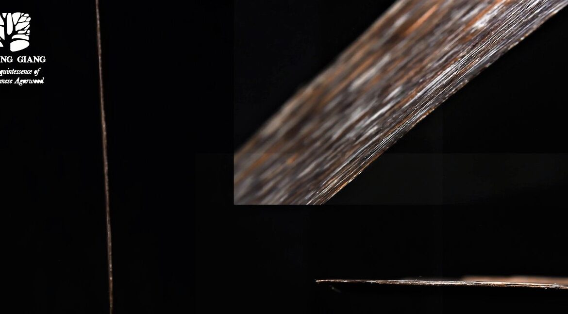 التفوق بفضل الاختلافات عن طريق تصنيع هاغا رقائق العود من شركة هوانغ جيانغ أقاروود