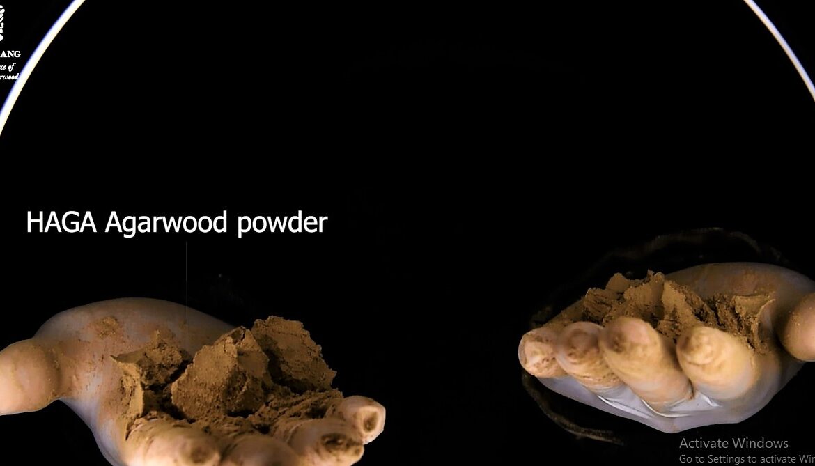 The Original – HAGA Smartoud from HAGA Oud manufacturer