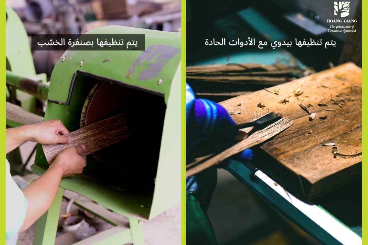 [رسم معلوماتي] ما هي الاختلافات بين هاغا رقائق العود الخاصة بنا و الشركات الآخرى