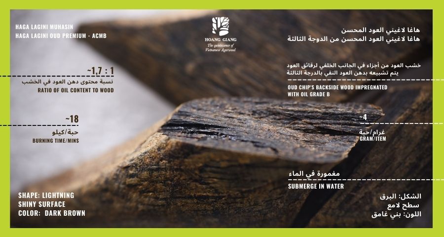 [Bilingual] BREAKTHROUGH with 02 types of HAGA Oud Mohsin: Luxury & Premium