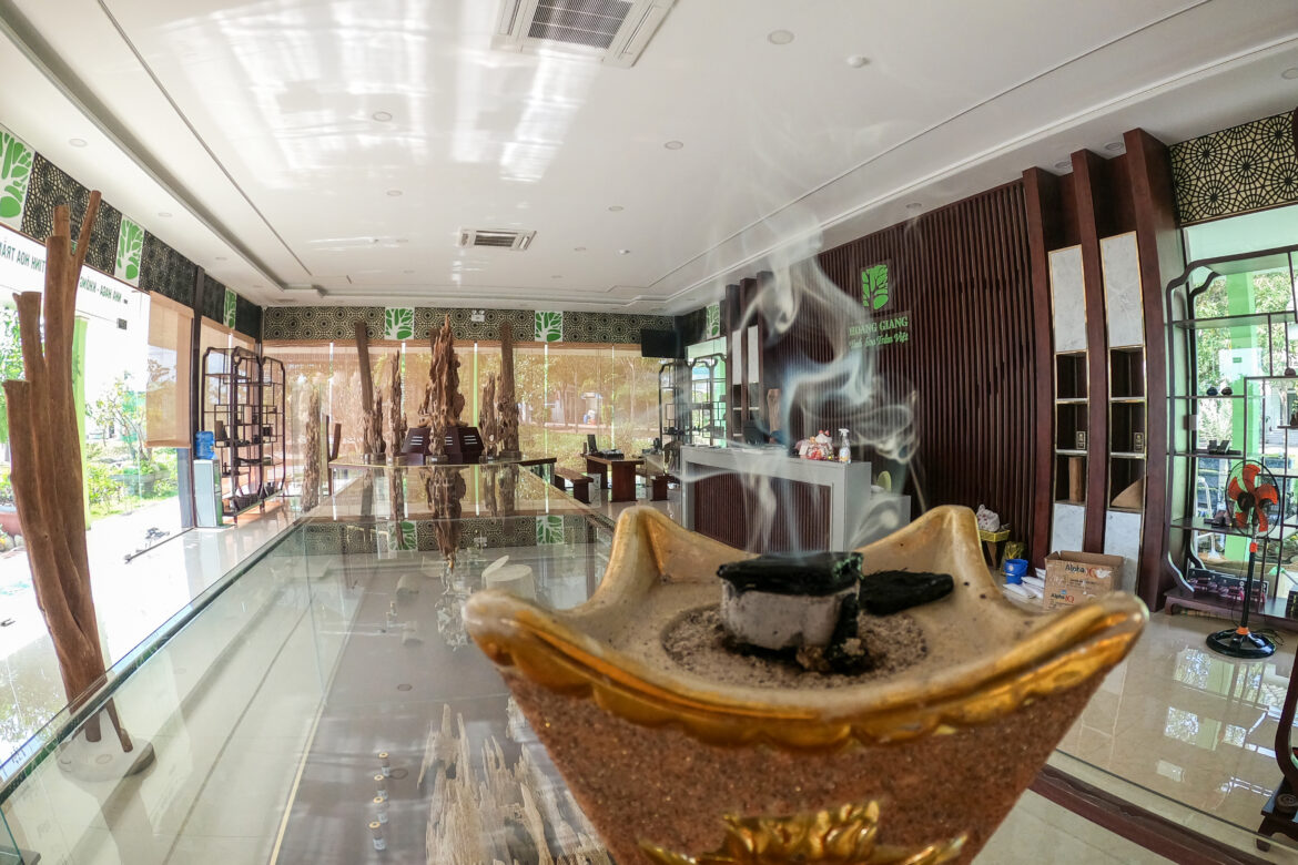 ما الذي يمكن أن يجلب الحواس اللطيفة للربيع ؟ هل ممكن يكون هاغا العود المحسن ؟