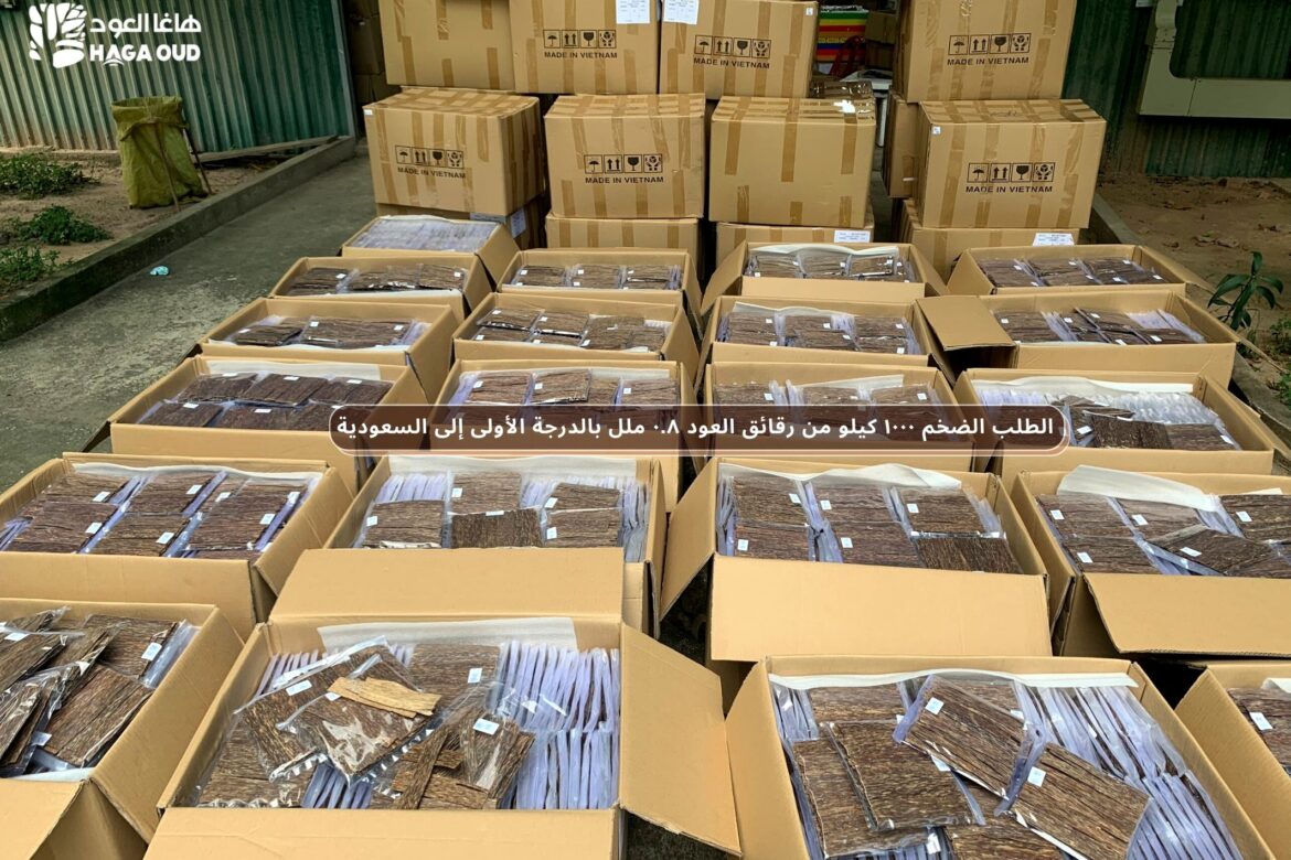 HAGA Oud Chip – the superior to different from others to Saudi Arabia