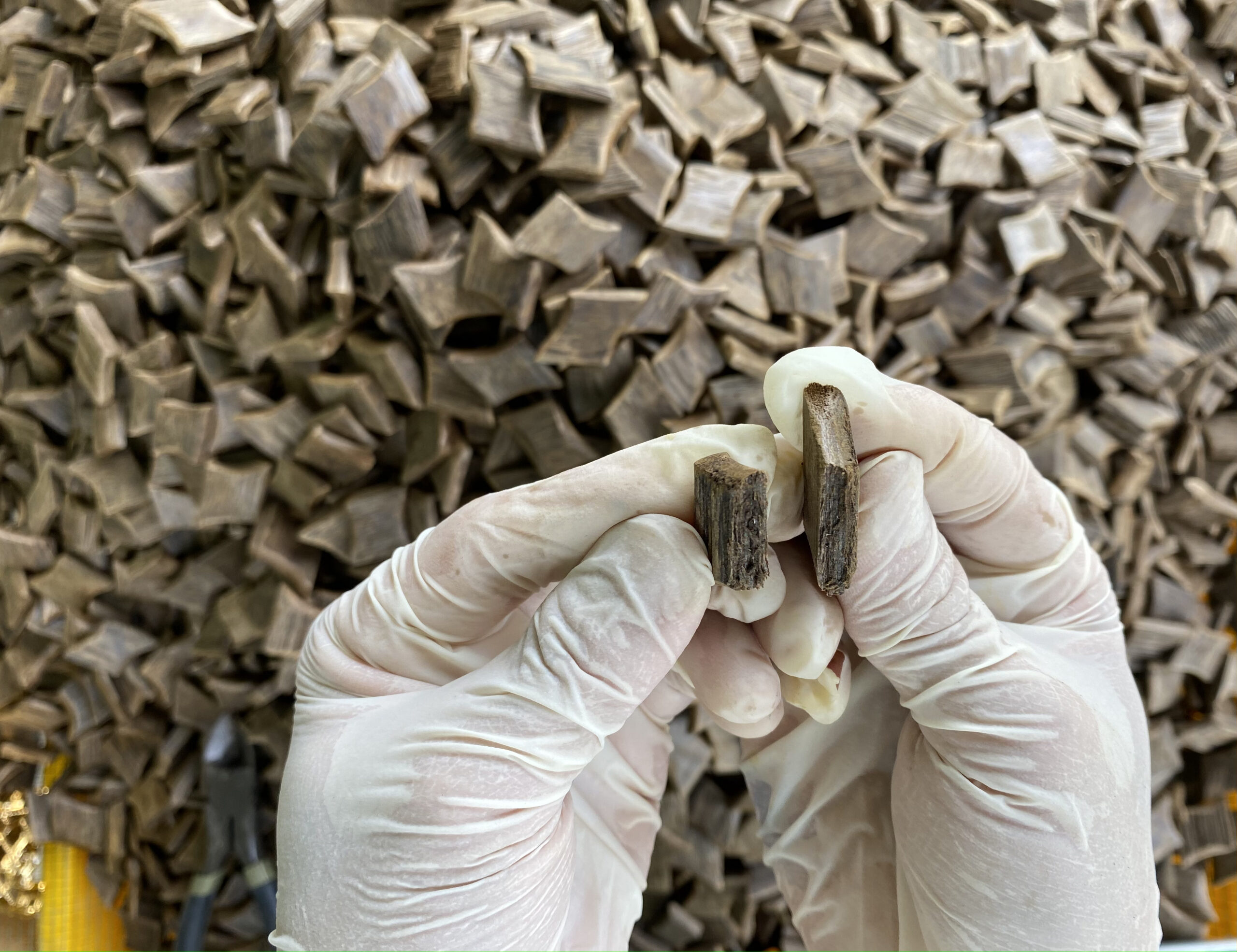 We use Oud to produce HAGA Oud Mohsin – How is the procedure?