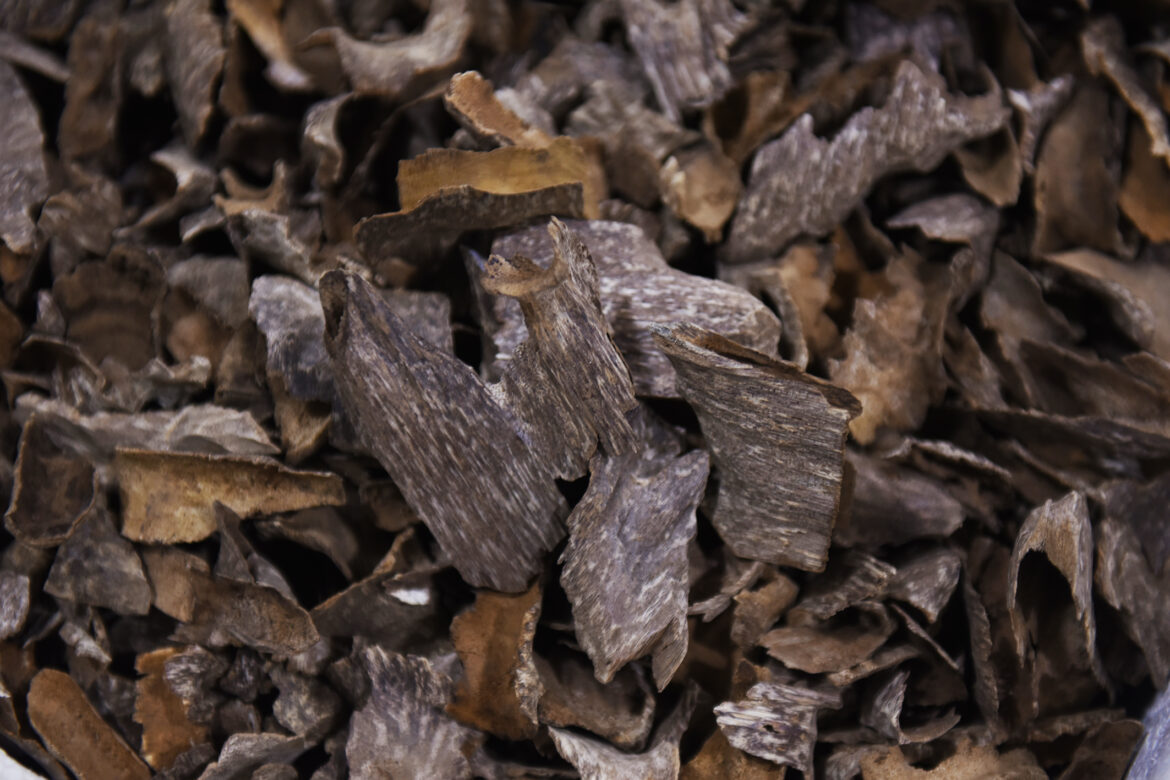 هاغا قواقع العود بجودة عالية، مصنوعة عن طريق الحرف اليدوية وإنها فريدة من نوعها