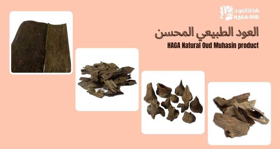 HAGA Oud Mohsin – A new & stunning product collection