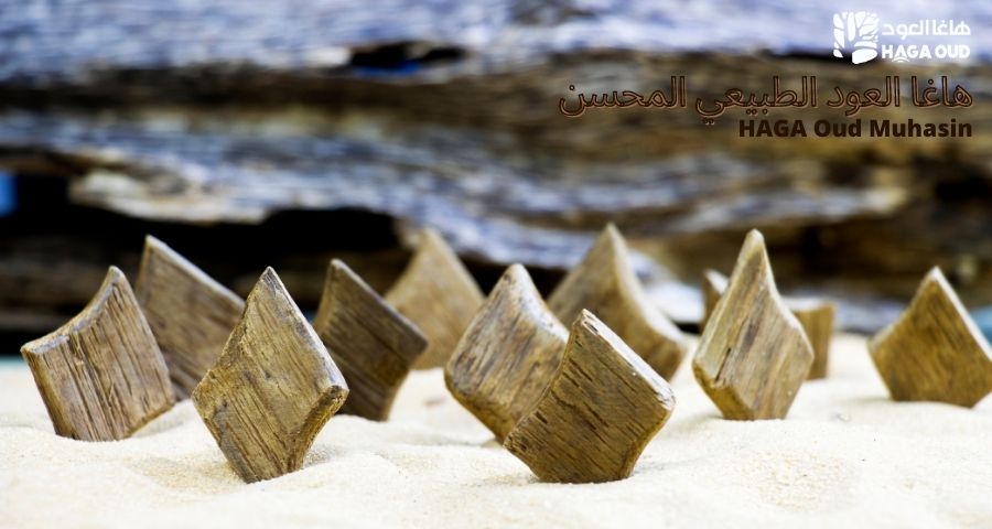 Standard Scent, Reasonable Price – HAGA Oud Mohsin by Oud experts