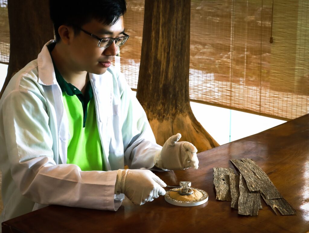 فريق من الحرفيين ذوي الخبرة