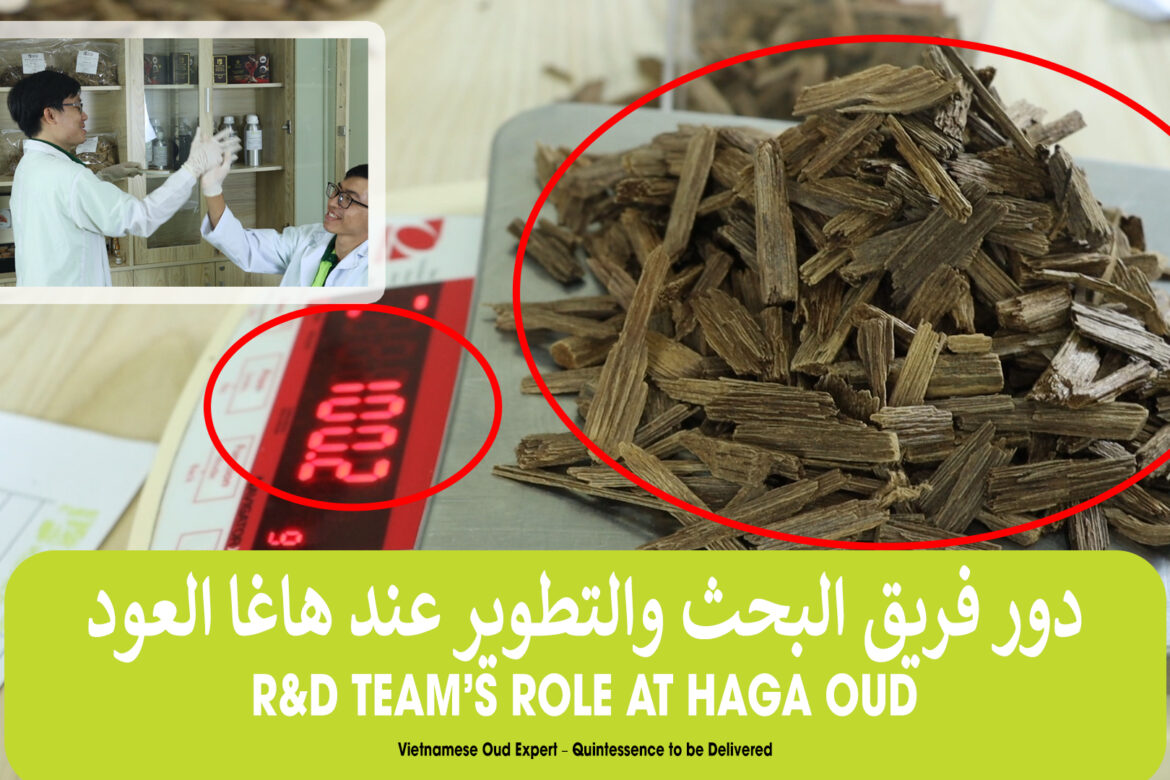 R&D Team’s Role At HAGA Oud – Vietnamese Oud Expert – Quintessence to be Delivered
