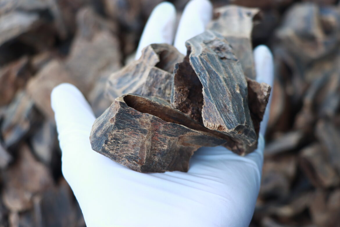 From reputable Oud Factory: 03 most reputable Vietnamese Oud factories you need to know