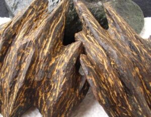 كي نام العود الفيتنامي ورحلة تكوين خشب العود الفاخر