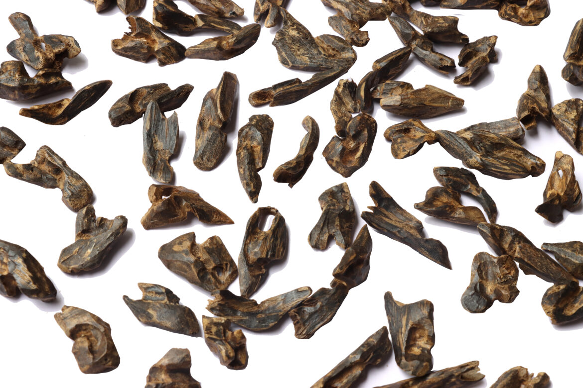 HAGA Ant Nest Oud: Discovering a Vietnamese unique aromatic treasure
