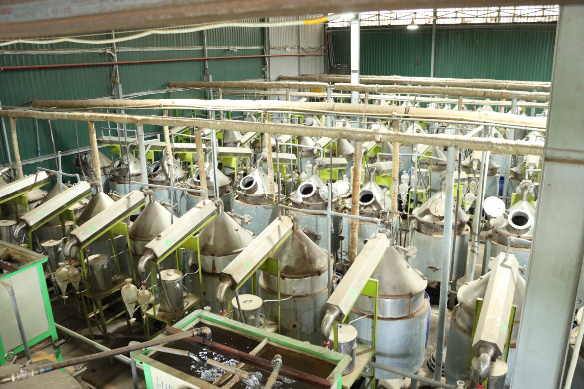 Outstanding achievements & Development timeline of HAGA Oud