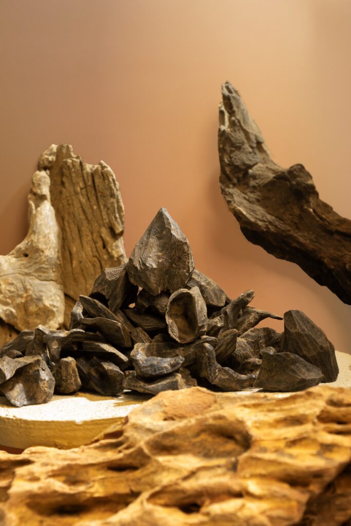 Vietnam Agarwood – The harmonious blend of nature and cultural values4