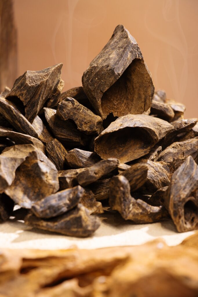 Vietnam Agarwood – The harmonious blend of nature and cultural values4