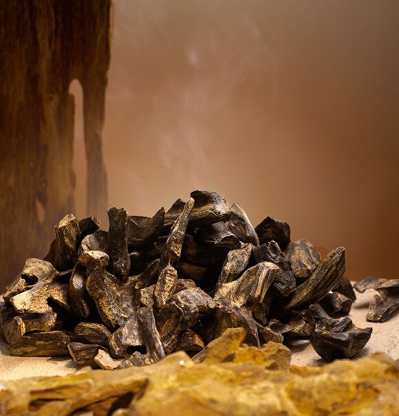 Vietnam Agarwood – The harmonious blend of nature and cultural values2