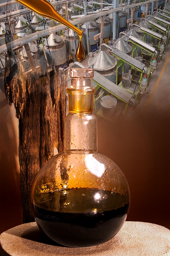 Vietnam Agarwood – The harmonious blend of nature and cultural values