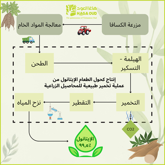 الإيثانول الغذائي - الخيار الوحيد لإنتاج العود الآمن
