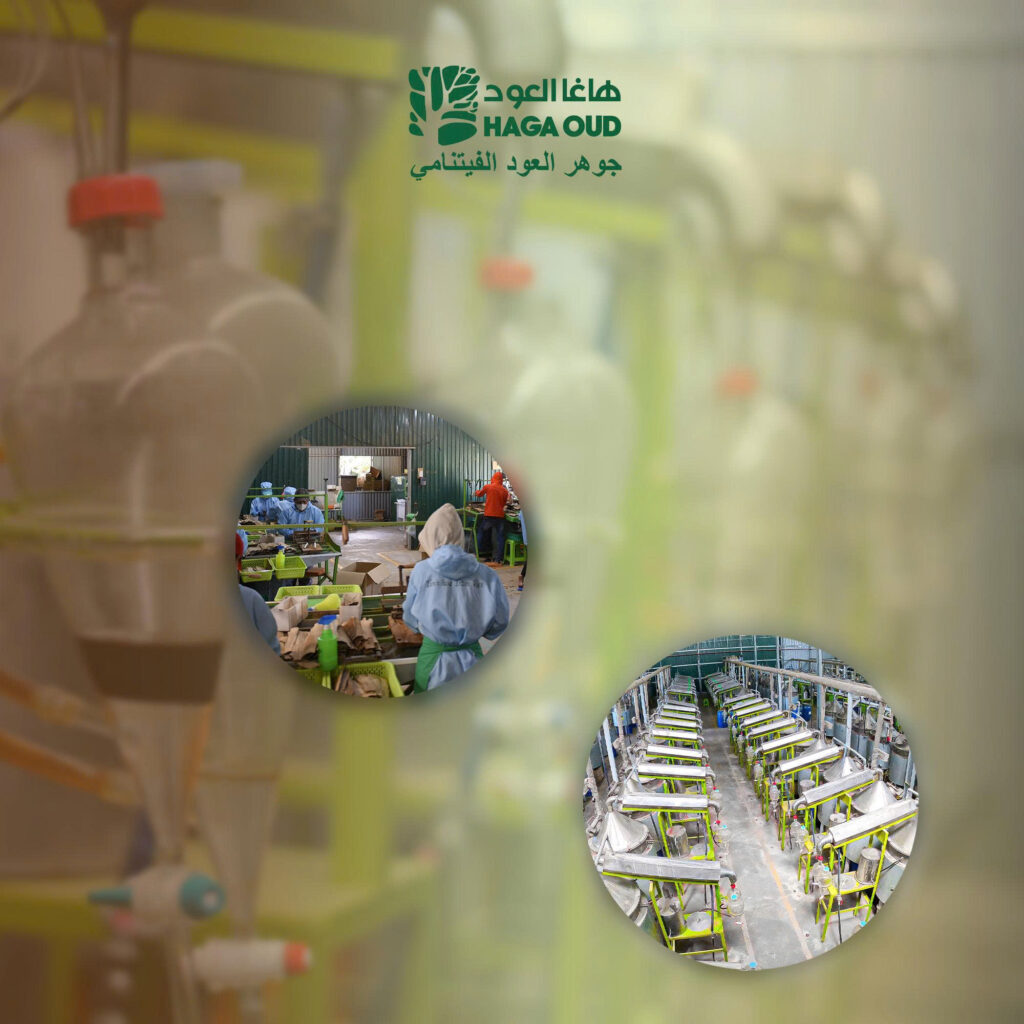 HAGA Oud: Elevating The Heritage Of Vietnamese Oud