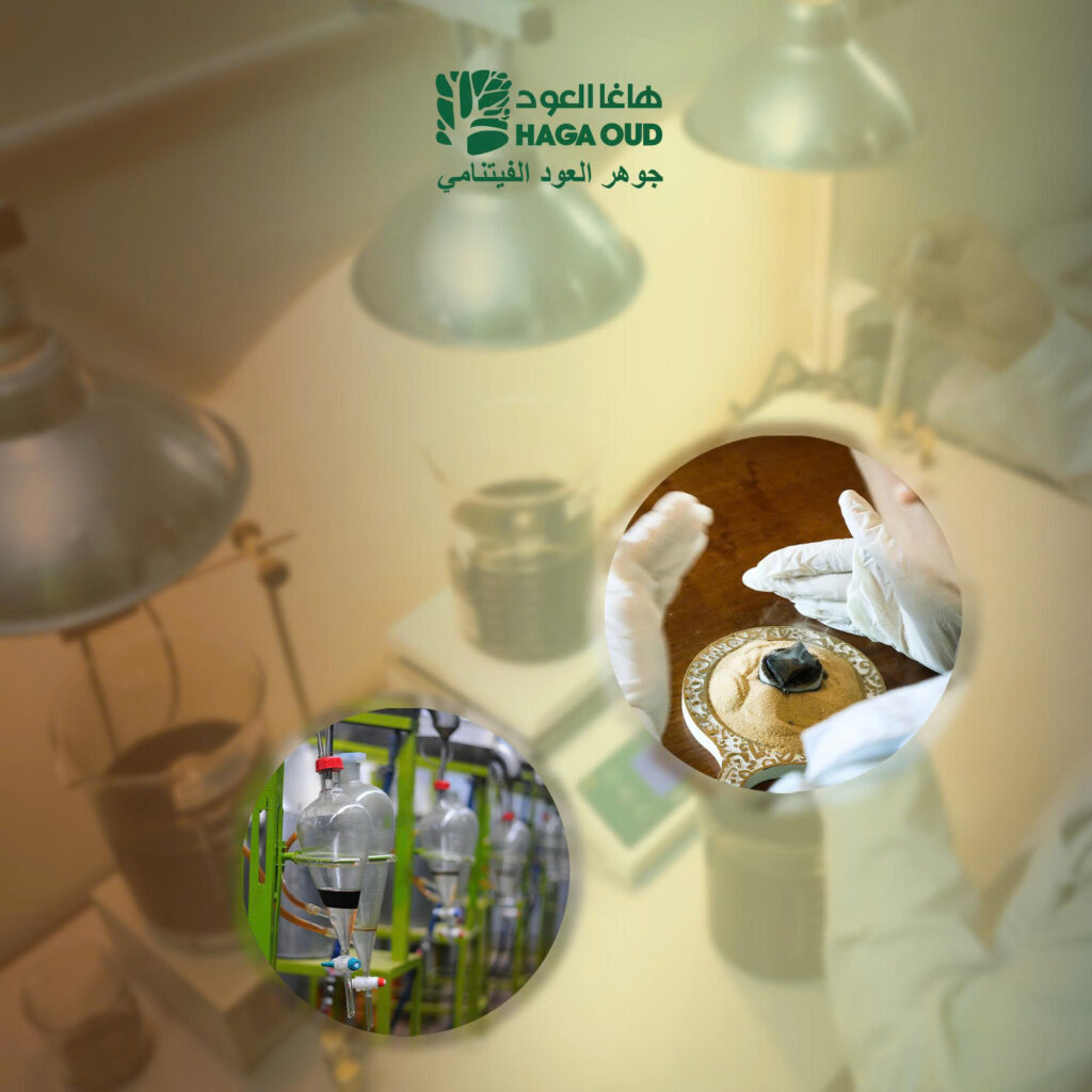 HAGA Oud: Elevating The Heritage Of Vietnamese Oud